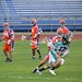 Stephen Berger Photo 37