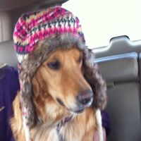Stacey Mecham Photo 6