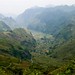 Thoan Vu Photo 16