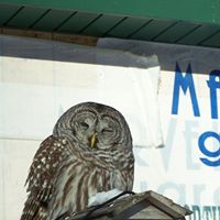 Alice Dewitt Photo 12