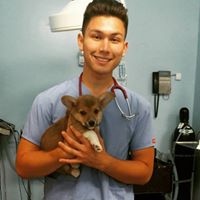 William Huynh Photo 22