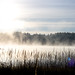 David Huynh Photo 31