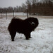 Steve Dougherty Photo 17