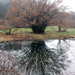 Robert Flinn Photo 19