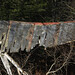 George Cline Photo 14