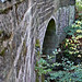 Judy Bridges Photo 24