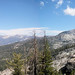 David Courtright Photo 12