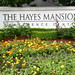 Marilyn Hayes Photo 16