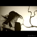 Melissa Cruz Photo 13