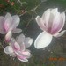 April Nice Photo 10