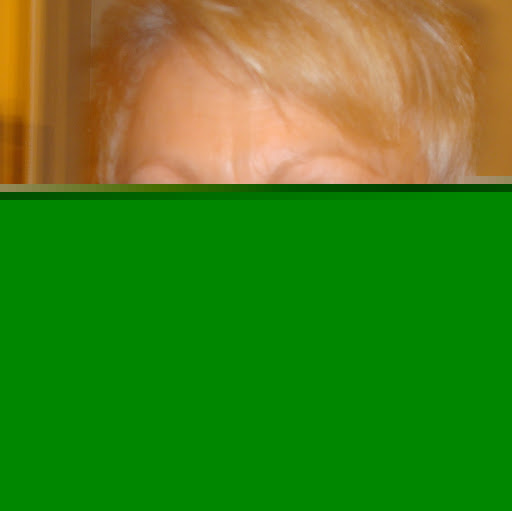 Janice Breaux Photo 12