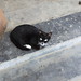 Kitty Tang Photo 21