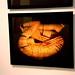Judith Hampton Photo 18