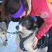 Stacy Mackey Photo 13