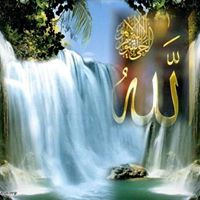 Hassan Zeitoun Photo 6