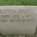 Jan Cobb Photo 17