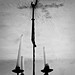 Samuel Strawbridge Photo 13