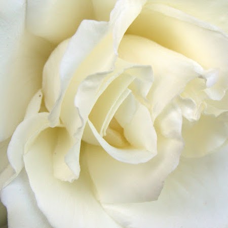 Rachel Mullins Photo 24