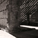 Nicolas Sharp Photo 21