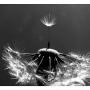 Sarah Giese Photo 15