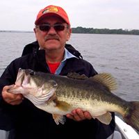 Norman Becker Photo 9