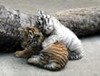Janis Warner Photo 19