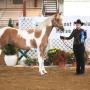 Denise Mccabe Photo 28
