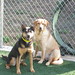 Dixie Spencer Photo 18