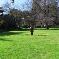 Crystal Kwok Photo 18