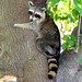 Mary Coons Photo 29