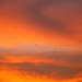 Kathy Cloud Photo 14
