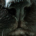 Christina Ripley Photo 12