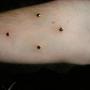 Mark Watts Photo 8