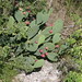 Wade Ward Photo 12