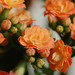 Leila Flowers Photo 8