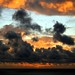 Jill Burns Photo 28