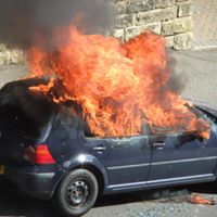 Garry Webster Photo 3