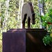 John Mcewen Photo 38
