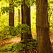 Joseph Grove Photo 21