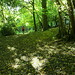 Preston Wood Photo 14