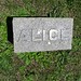 Alice Mcintosh Photo 9