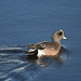 Gary Breeding Photo 12