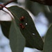 William Gall Photo 13