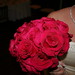 Kimberly Webber Photo 33