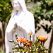 Mary Batista Photo 37