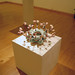 Jill Allen Photo 13