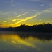 Dawn Parks Photo 28