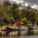Gregory Lock Photo 7