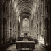 James Nave Photo 36