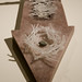 Susan Nester Photo 7